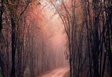 番禺98号养生馆，夜幕下享受宁静时光