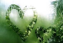 夜幕降临，广州按摩会所邀您享受舒适时光