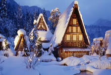 养生良方石斛田七花旗参汤，护眼缓解疲劳新选择